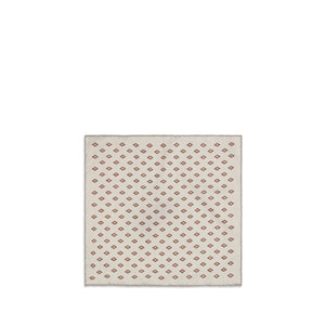 Brunello Cucinelli Multicolor Silk Scarf