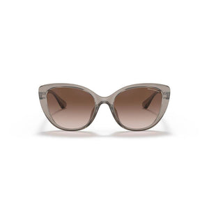 Armani Exchange Brown Injected Sunglasses