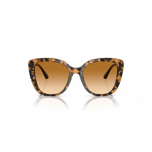 Emporio Armani Bicolor Acetate Sunglasses