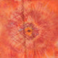 Zimmermann Scarfs