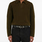 Ferragamo Belts BLACK