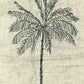 Jacquemus Beach Towel La Serviette Croisière