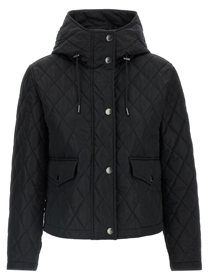 Burberry Pembroke Jacket