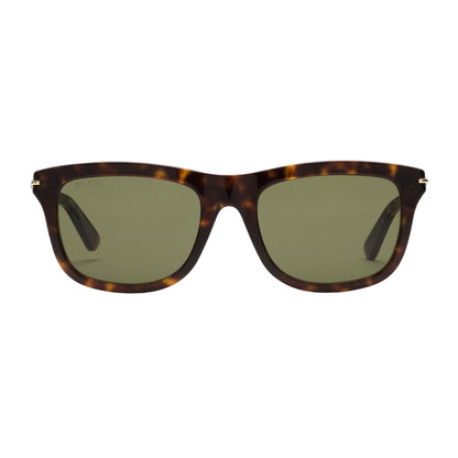 Sunglasses with tortoiseshell frame and green lenses on a light gray background