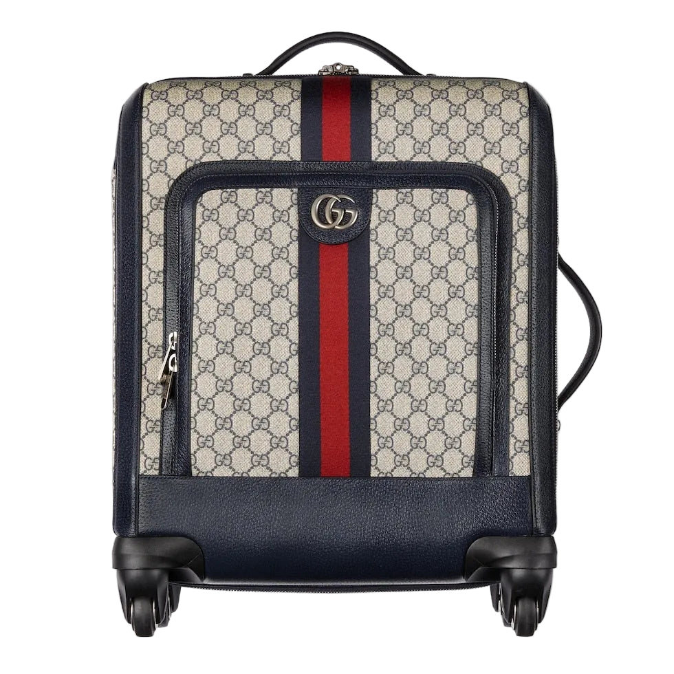 Designer suitcase with patterned exterior and red stripe on a light gray background