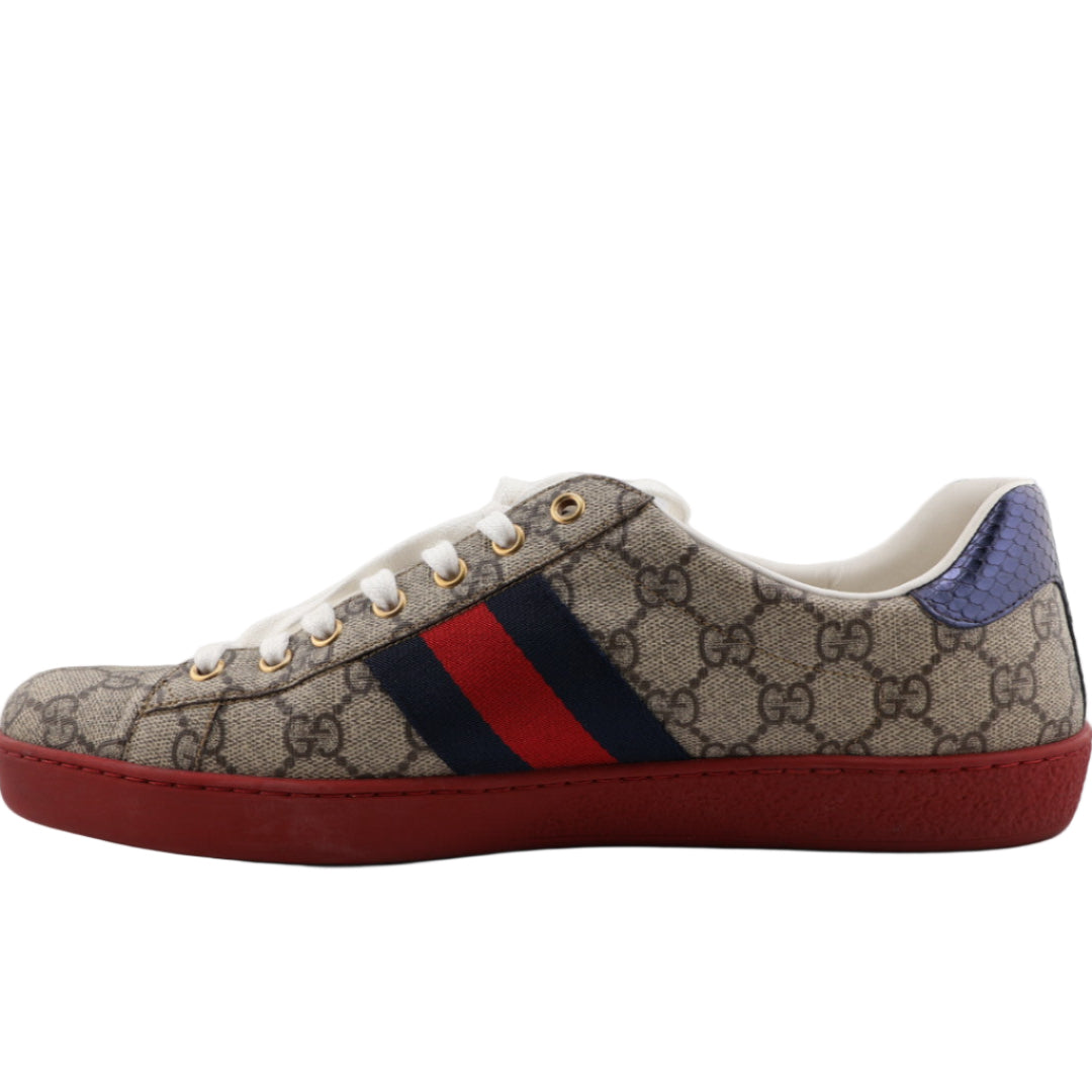 Sneaker with Gucci logo and color stripes on a white background