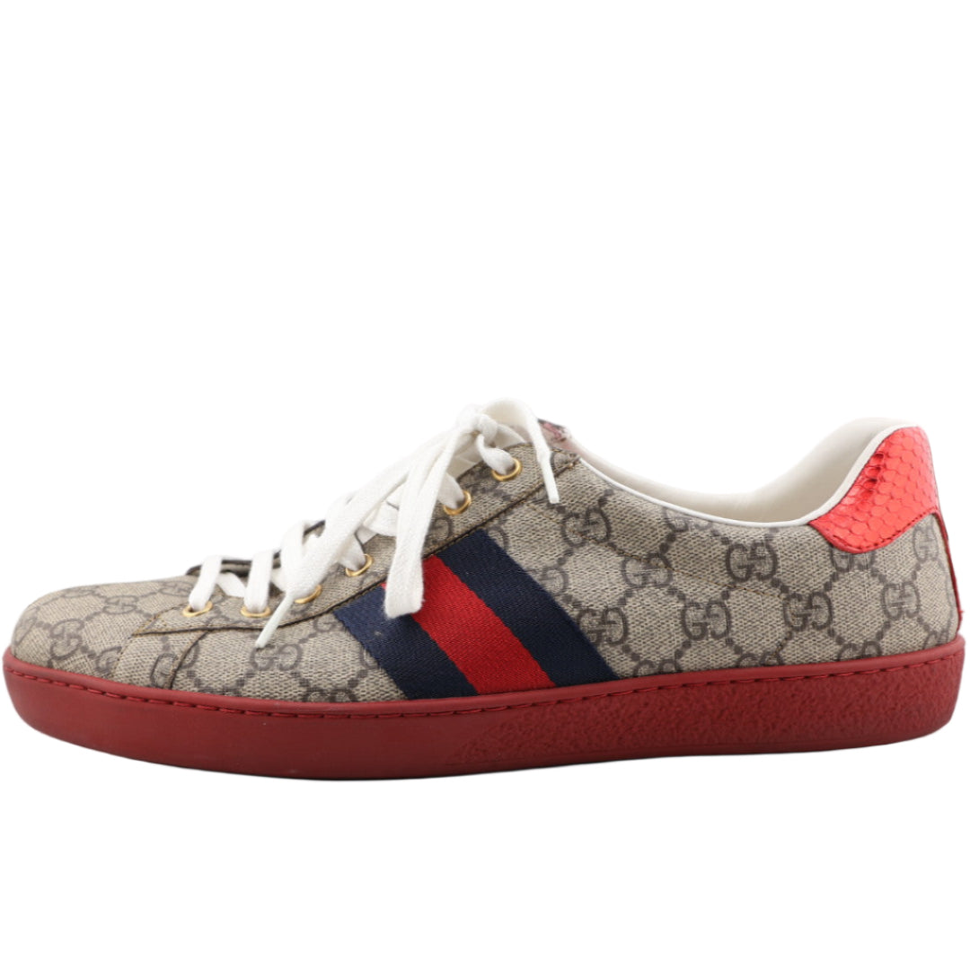 Sneaker with Gucci logo and red sole on a white background