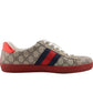 Gucci sneaker with red and blue stripes on a white background
