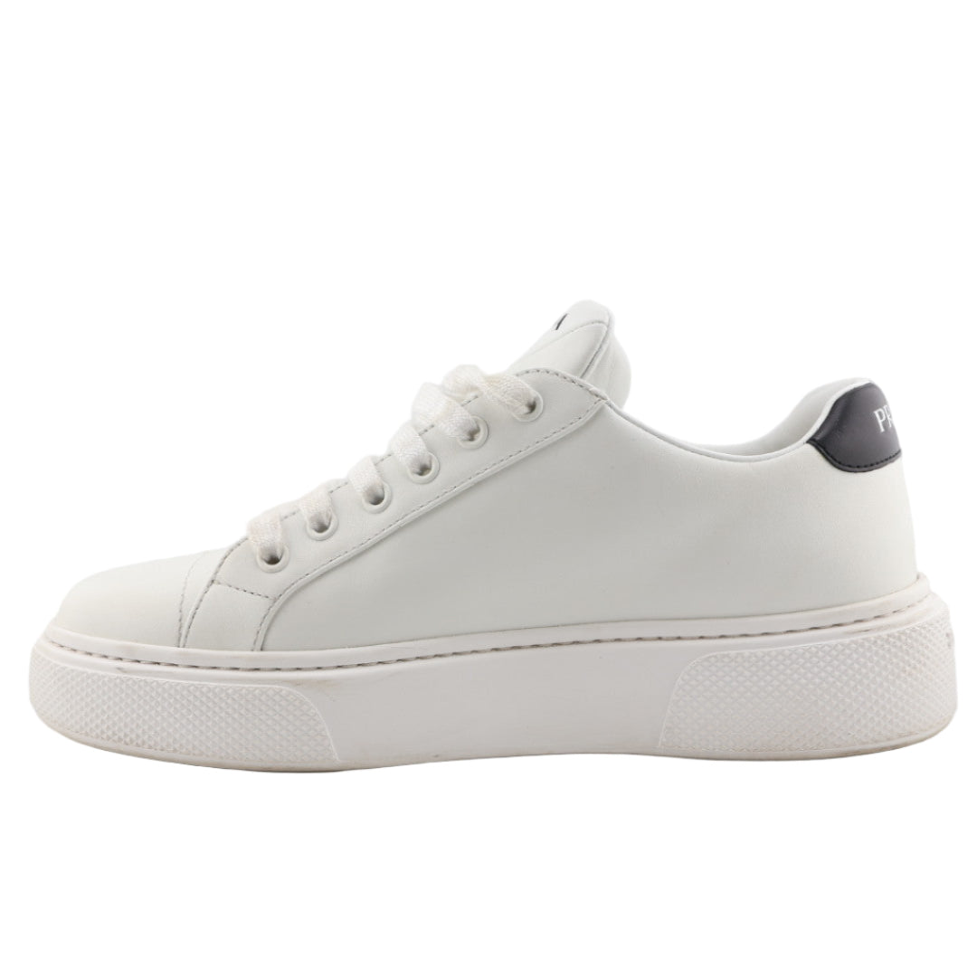 White sneaker on a light gray background
