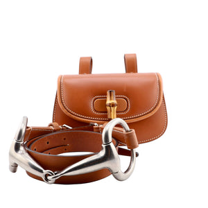 Brown leather bag with gold buckle and silver bridle on a white background