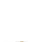 Brunello Cucinelli Jewel Buckle Belt