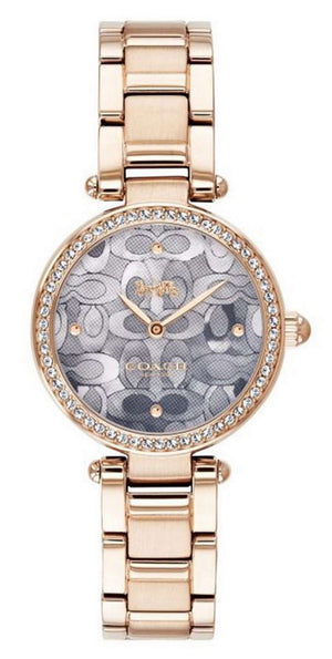 Coach Park Crystal Grey Dial 14503226