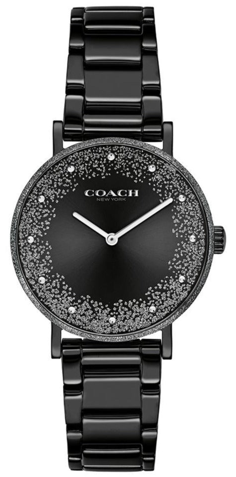 Coach Perry Silver Dial 14503641