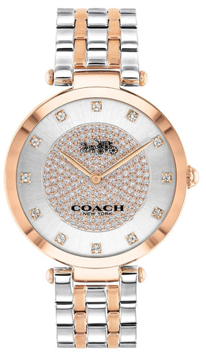 Coach Park Silver Dial 14503644